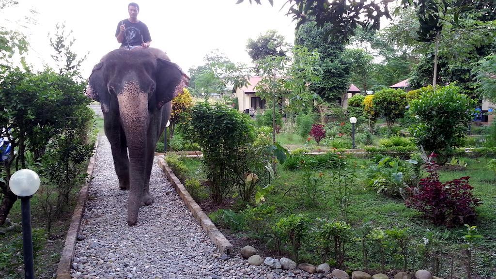 Chitwan Safari Camp & Lodge Sauraha Exterior foto