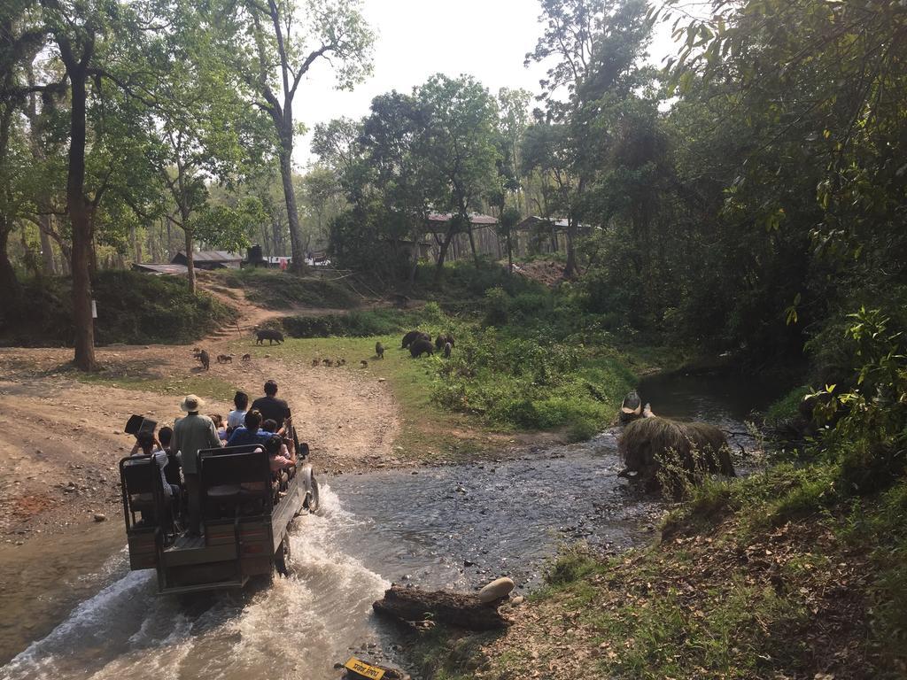 Chitwan Safari Camp & Lodge Sauraha Exterior foto