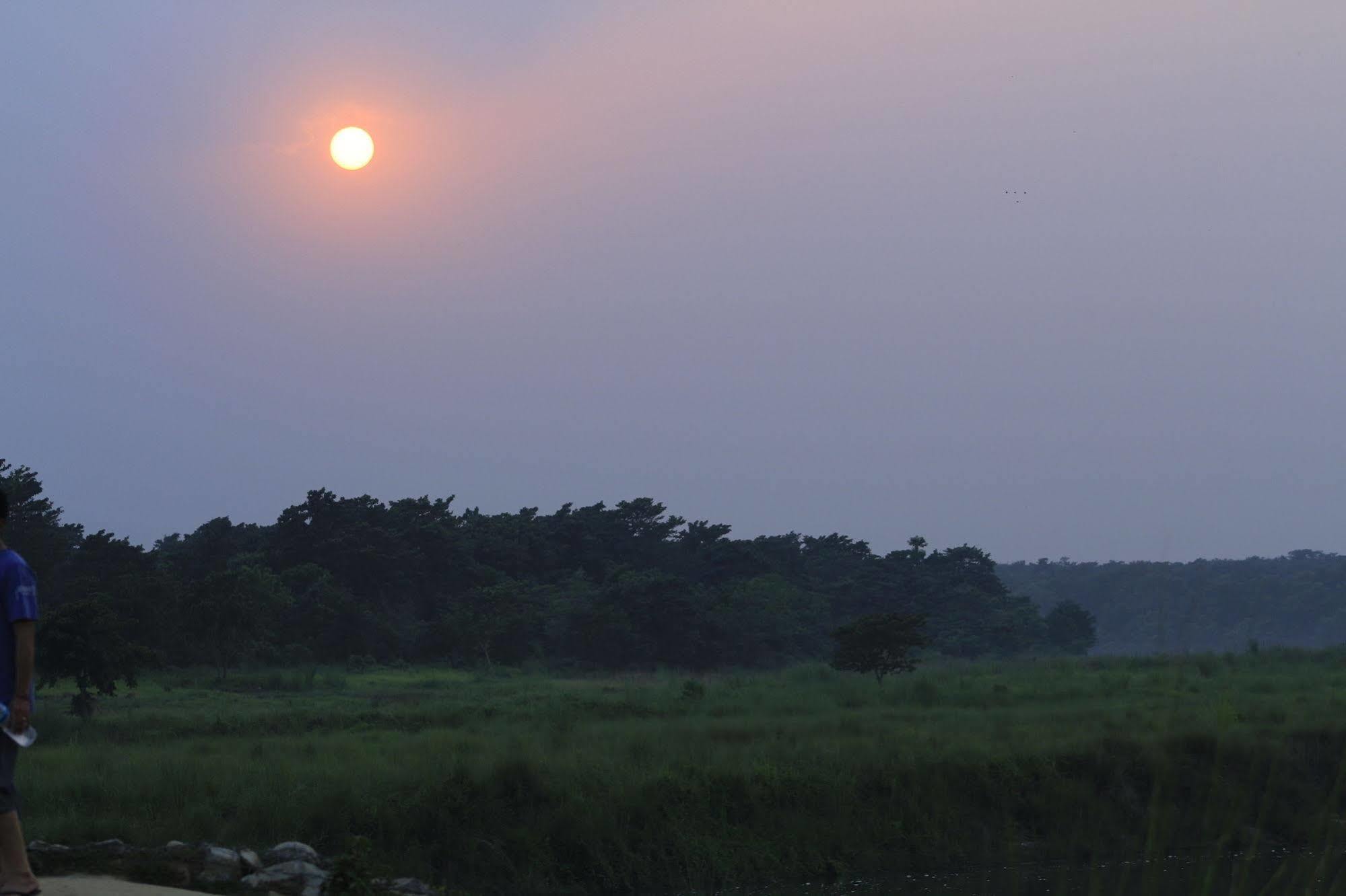 Chitwan Safari Camp & Lodge Sauraha Exterior foto