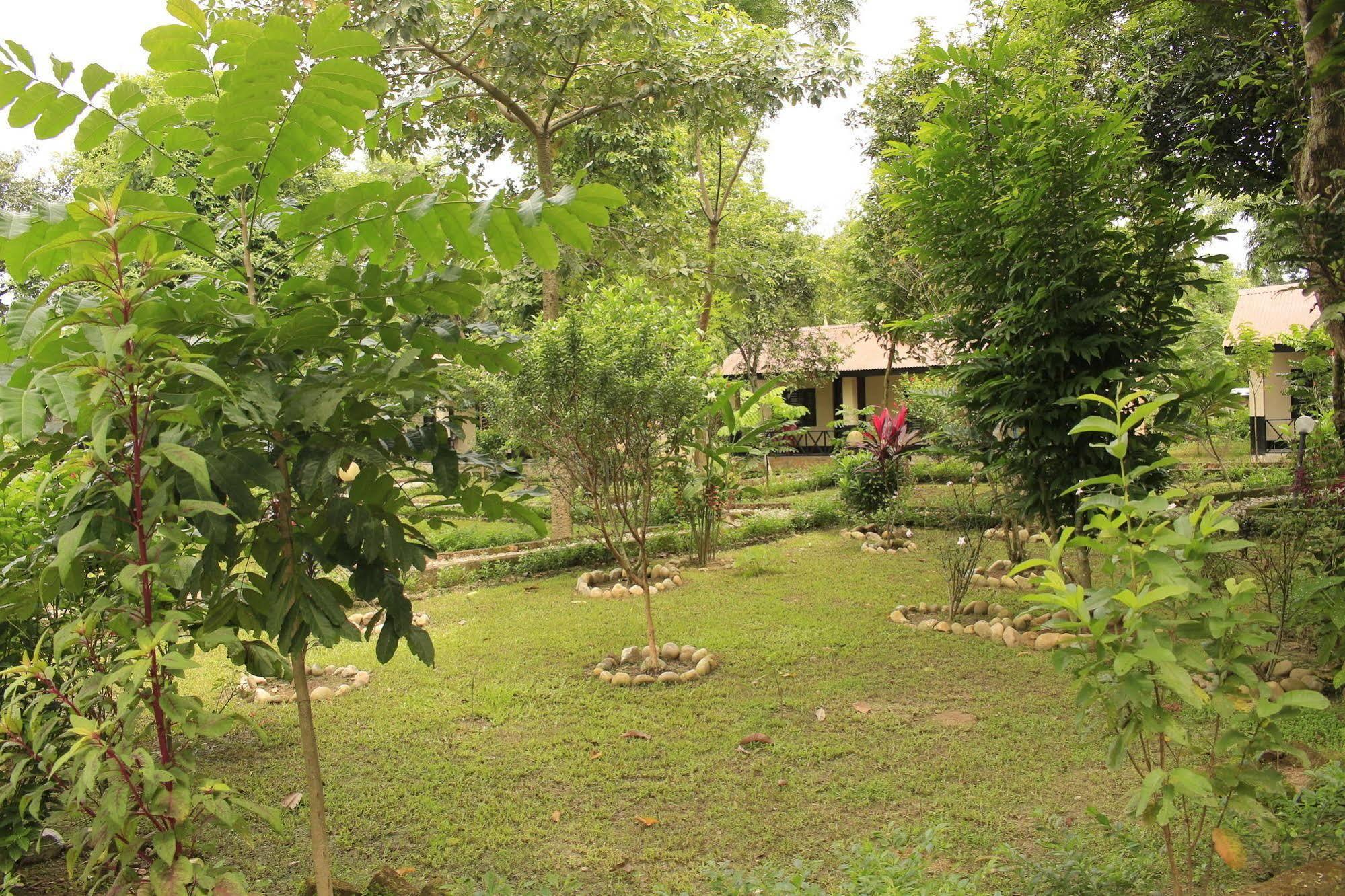 Chitwan Safari Camp & Lodge Sauraha Exterior foto