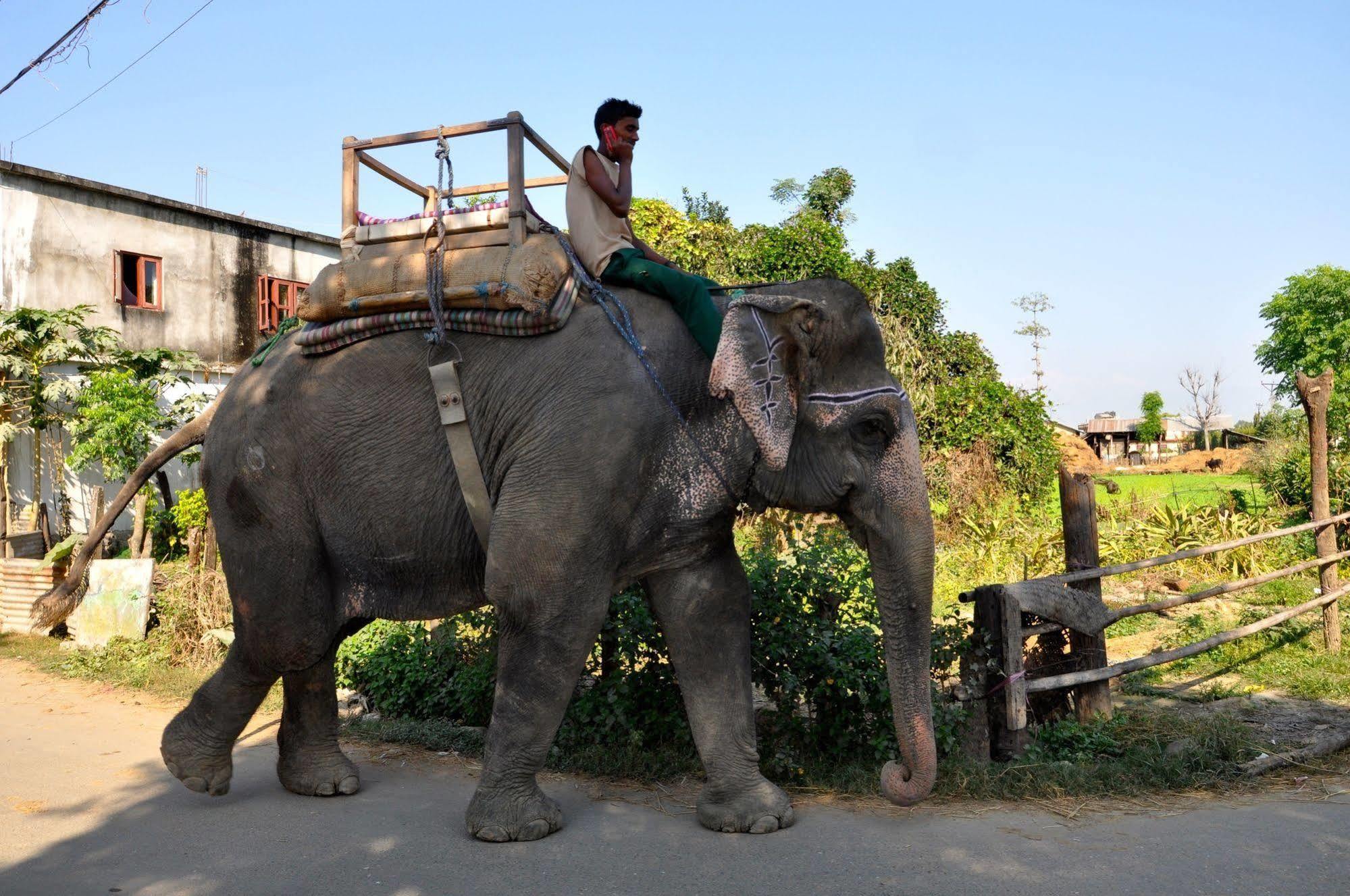 Chitwan Safari Camp & Lodge Sauraha Exterior foto